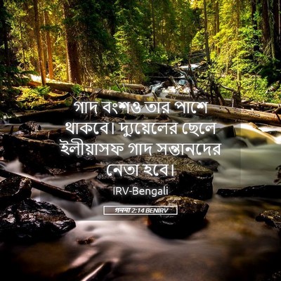 Picture 05 - গননা 2:14 BENIRV - গাদ বংশও তার পাশে - Bible Verse Picture