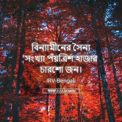 Picture 05 - গননা 2:23 BENIRV - বিন্যামীনের সৈন্য - Bible Verse Picture