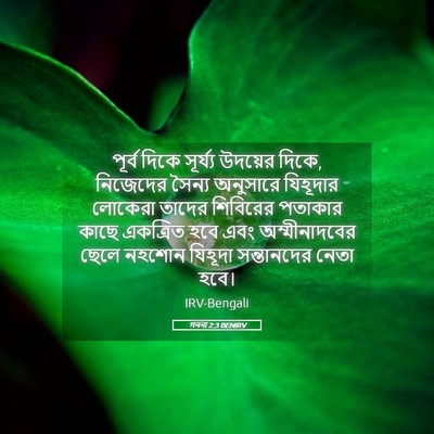 Picture 05 - গননা 2:3 BENIRV - পূর্ব দিকে - Bible Verse Picture
