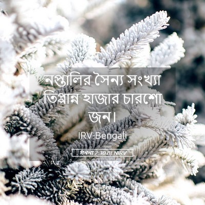Picture 05 - গননা 2:30 BENIRV - নপ্তালির সৈন্য - Bible Verse Picture