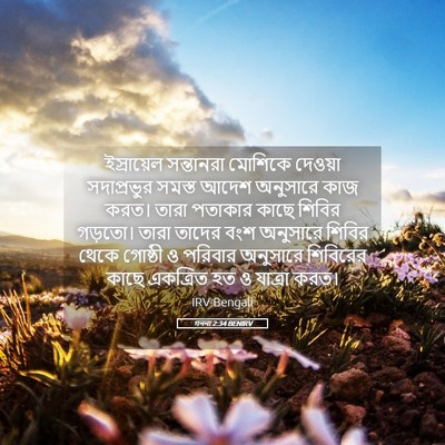 Picture 05 - গননা 2:34 BENIRV - ইস্রায়েল - Bible Verse Picture