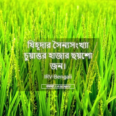 Picture 05 - গননা 2:4 BENIRV - যিহূদার - Bible Verse Picture