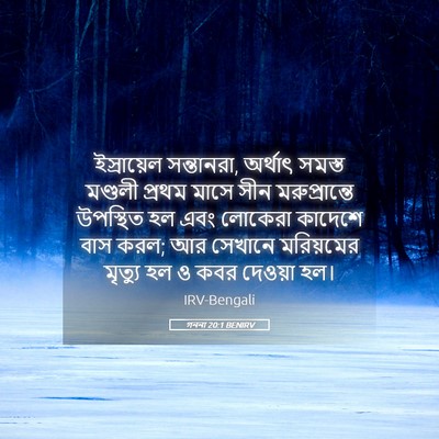 Picture 05 - গননা 20:1 BENIRV - ইস্রায়েল - Bible Verse Picture