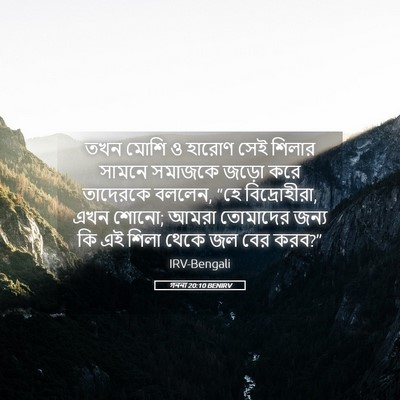 Picture 05 - গননা 20:10 BENIRV - তখন মোশি ও হারোণ - Bible Verse Picture