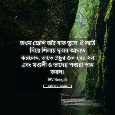 Picture 05 - গননা 20:11 BENIRV - তখন মোশি তাঁর হাত - Bible Verse Picture