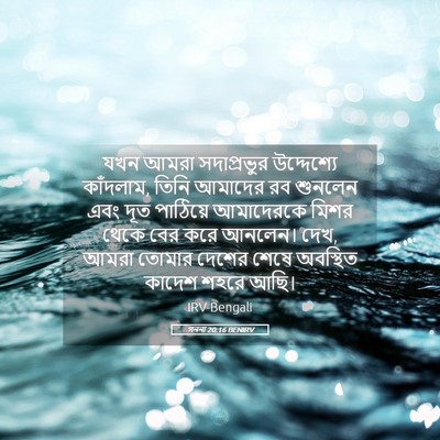 Picture 05 - গননা 20:16 BENIRV - যখন আমরা - Bible Verse Picture