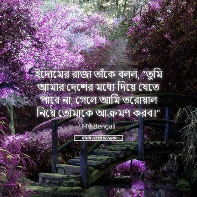 Picture 05 - গননা 20:18 BENIRV - ইদোমের রাজা তাঁকে - Bible Verse Picture