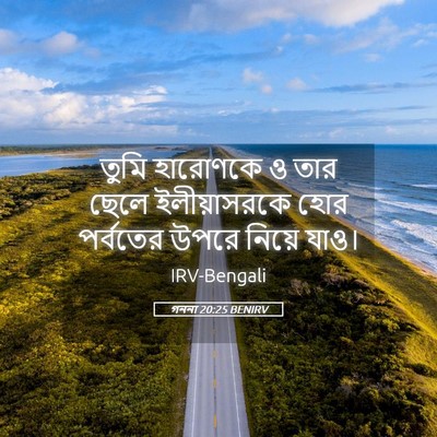 Picture 05 - গননা 20:25 BENIRV - তুমি হারোণকে ও তার - Bible Verse Picture