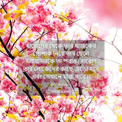 Picture 05 - গননা 20:26 BENIRV - হারোণের থেকে তার - Bible Verse Picture