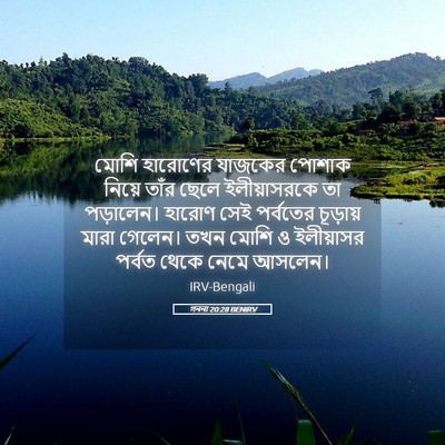 Picture 05 - গননা 20:28 BENIRV - মোশি হারোণের - Bible Verse Picture
