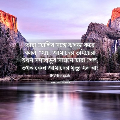 Picture 05 - গননা 20:3 BENIRV - তারা মোশির সঙ্গে - Bible Verse Picture