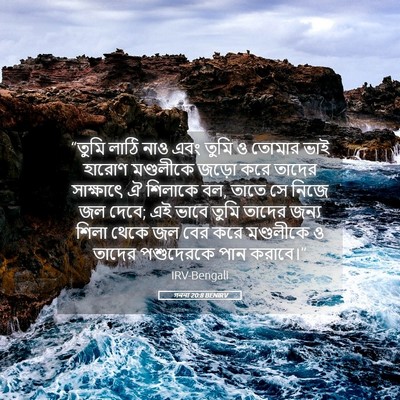 Picture 05 - গননা 20:8 BENIRV - “তুমি লাঠি নাও এবং - Bible Verse Picture