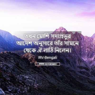 Picture 05 - গননা 20:9 BENIRV - তখন মোশি - Bible Verse Picture
