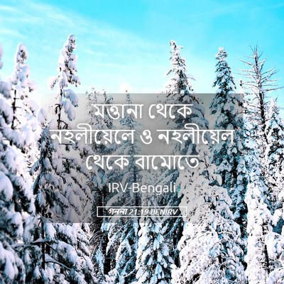 Picture 05 - গননা 21:19 BENIRV - মত্তানা থেকে - Bible Verse Picture