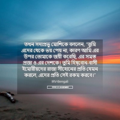 Picture 05 - গননা 21:34 BENIRV - তখন সদাপ্রভু - Bible Verse Picture