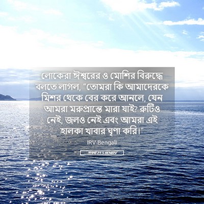 Picture 05 - গননা 21:5 BENIRV - লোকেরা ঈশ্বরের ও - Bible Verse Picture