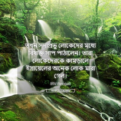 Picture 05 - গননা 21:6 BENIRV - তখন সদাপ্রভু - Bible Verse Picture
