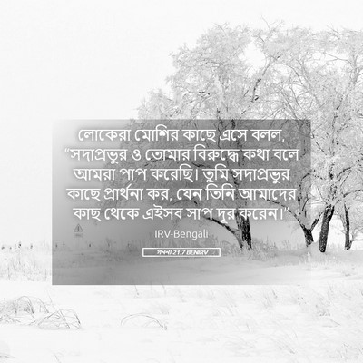 Picture 05 - গননা 21:7 BENIRV - লোকেরা মোশির কাছে - Bible Verse Picture