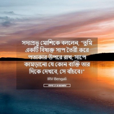 Picture 05 - গননা 21:8 BENIRV - সদাপ্রভু মোশিকে - Bible Verse Picture