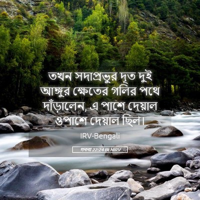 Picture 05 - গননা 22:24 BENIRV - তখন সদাপ্রভুর দূত - Bible Verse Picture