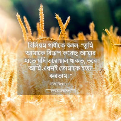 Picture 05 - গননা 22:29 BENIRV - বিলিয়ম গাধীকে - Bible Verse Picture