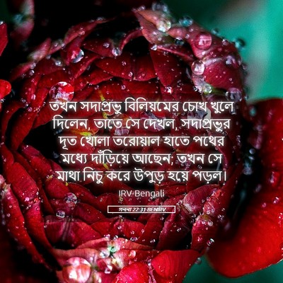Picture 05 - গননা 22:31 BENIRV - তখন সদাপ্রভু - Bible Verse Picture