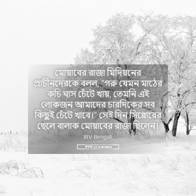 Picture 05 - গননা 22:4 BENIRV - মোয়াবের রাজা - Bible Verse Picture