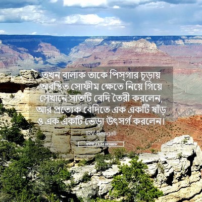 Picture 05 - গননা 23:14 BENIRV - তখন বালাক তাকে - Bible Verse Picture