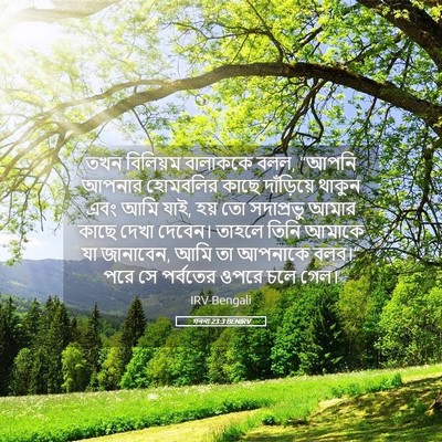 Picture 05 - গননা 23:3 BENIRV - তখন বিলিয়ম - Bible Verse Picture