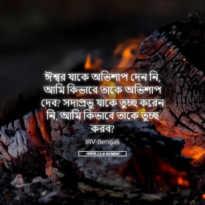 Picture 05 - গননা 23:8 BENIRV - ঈশ্বর যাকে অভিশাপ - Bible Verse Picture