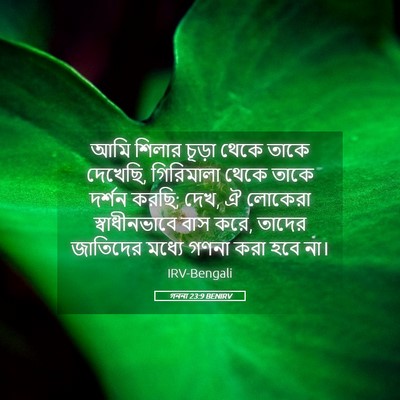 Picture 05 - গননা 23:9 BENIRV - আমি শিলার চূড়া - Bible Verse Picture