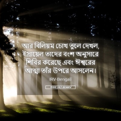 Picture 05 - গননা 24:2 BENIRV - আর বিলিয়ম চোখ - Bible Verse Picture