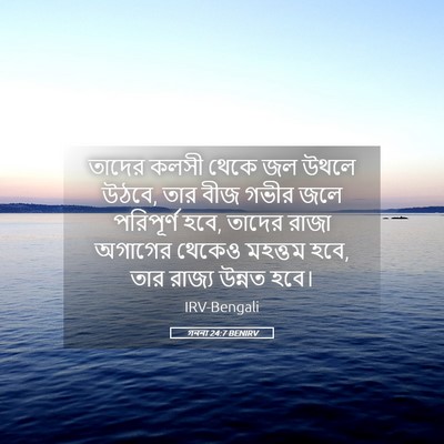 Picture 05 - গননা 24:7 BENIRV - তাদের কলসী থেকে জল - Bible Verse Picture