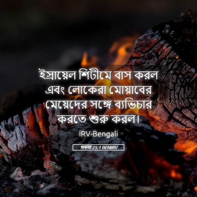 Picture 05 - গননা 25:1 BENIRV - ইস্রায়েল শিটীমে - Bible Verse Picture