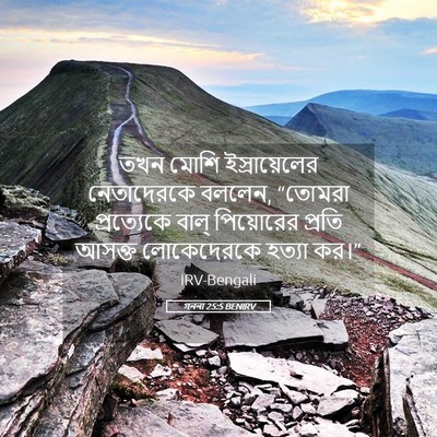 Picture 05 - গননা 25:5 BENIRV - তখন মোশি - Bible Verse Picture