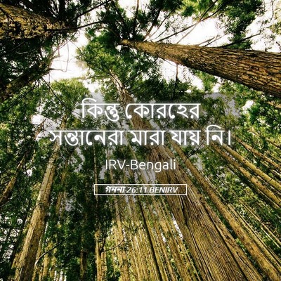 Picture 05 - গননা 26:11 BENIRV - কিন্তু কোরহের - Bible Verse Picture