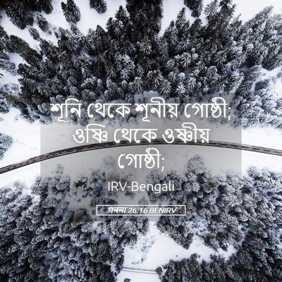 Picture 05 - গননা 26:16 BENIRV - শূনি থেকে শূনীয় - Bible Verse Picture