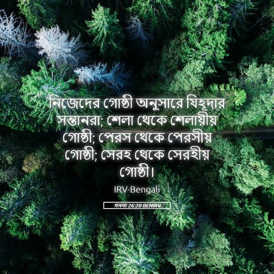 Picture 05 - গননা 26:20 BENIRV - নিজেদের গোষ্ঠী - Bible Verse Picture