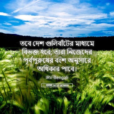 Picture 05 - গননা 26:55 BENIRV - তবে দেশ - Bible Verse Picture