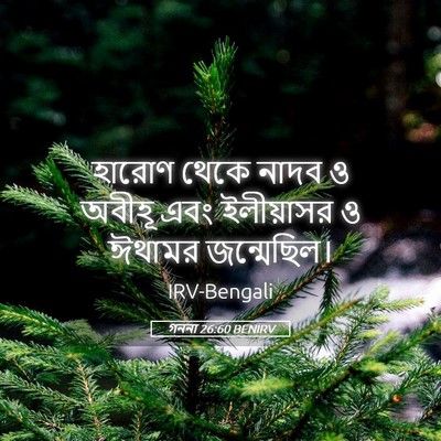 Picture 05 - গননা 26:60 BENIRV - হারোণ থেকে নাদব ও - Bible Verse Picture