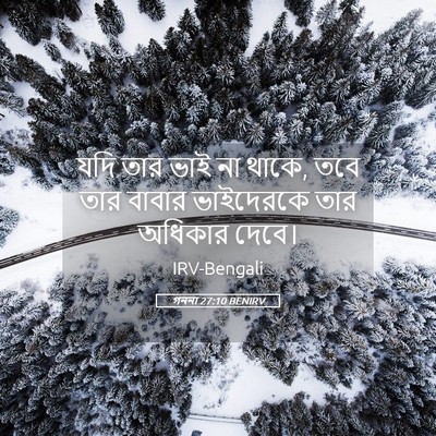 Picture 05 - গননা 27:10 BENIRV - যদি তার ভাই না - Bible Verse Picture