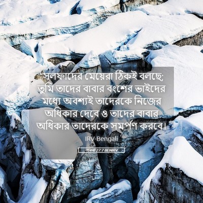 Picture 05 - গননা 27:7 BENIRV - “সলফাদের মেয়েরা - Bible Verse Picture