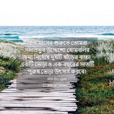 Picture 05 - গননা 28:11 BENIRV - প্রতি মাসের - Bible Verse Picture