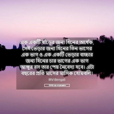 Picture 05 - গননা 28:14 BENIRV - এক একটি ষাঁড়ের - Bible Verse Picture