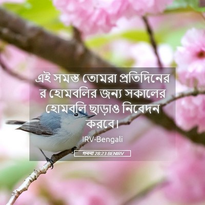 Picture 05 - গননা 28:23 BENIRV - এই সমস্ত তোমরা - Bible Verse Picture