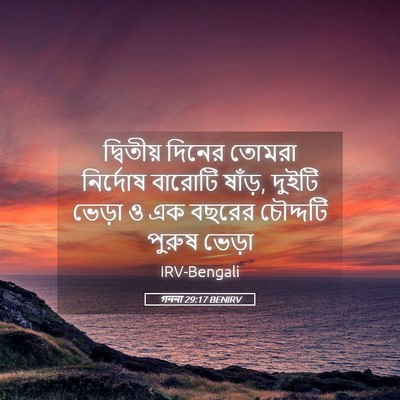 Picture 05 - গননা 29:17 BENIRV - দ্বিতীয় দিনের - Bible Verse Picture