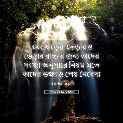 Picture 05 - গননা 29:18 BENIRV - এবং ষাঁড়ের, - Bible Verse Picture