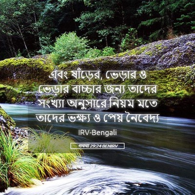 Picture 05 - গননা 29:24 BENIRV - এবং ষাঁড়ের, - Bible Verse Picture