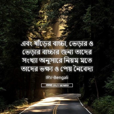 Picture 05 - গননা 29:27 BENIRV - এবং ষাঁড়ের - Bible Verse Picture