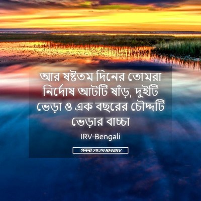 Picture 05 - গননা 29:29 BENIRV - আর ষষ্টতম দিনের - Bible Verse Picture